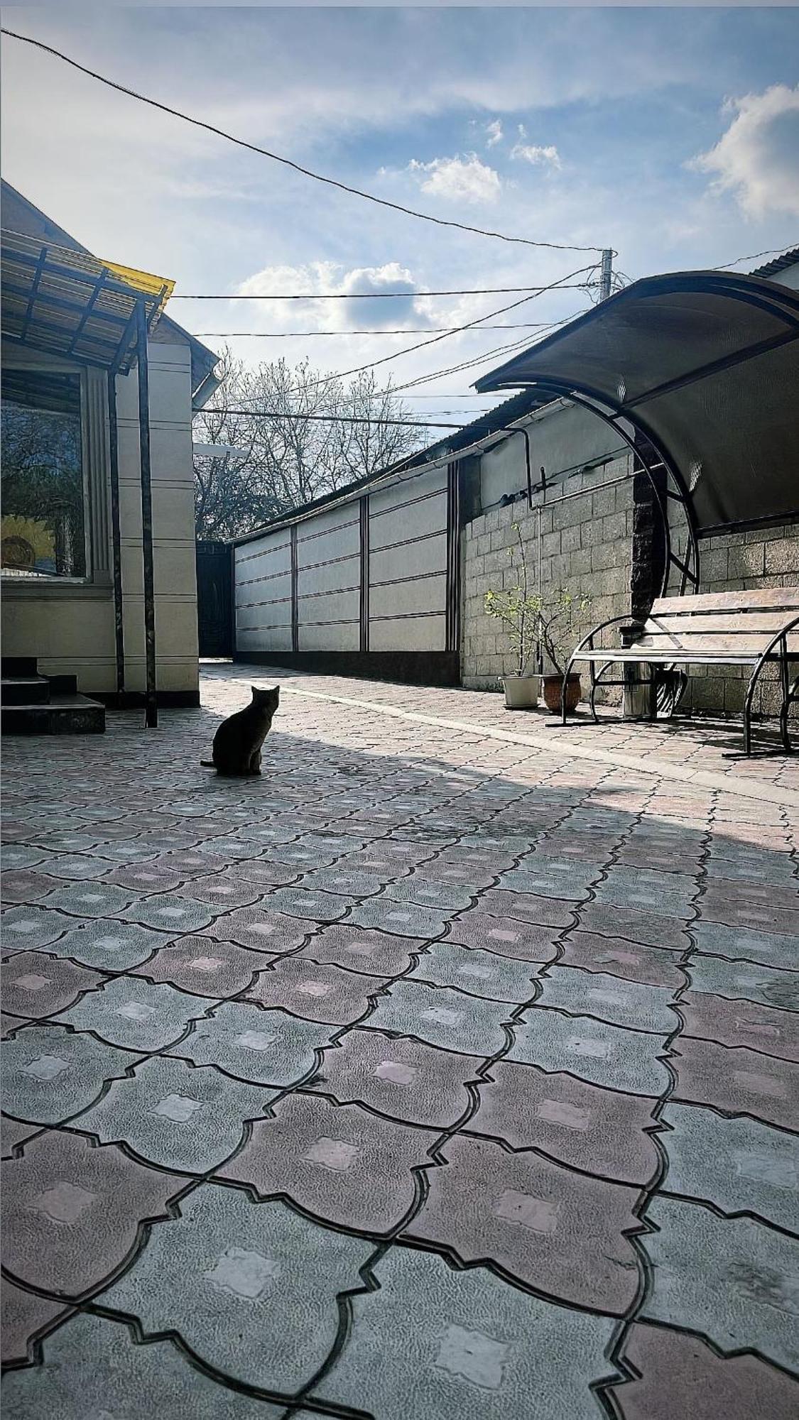 ホテル Fam_House ビシュケク エクステリア 写真